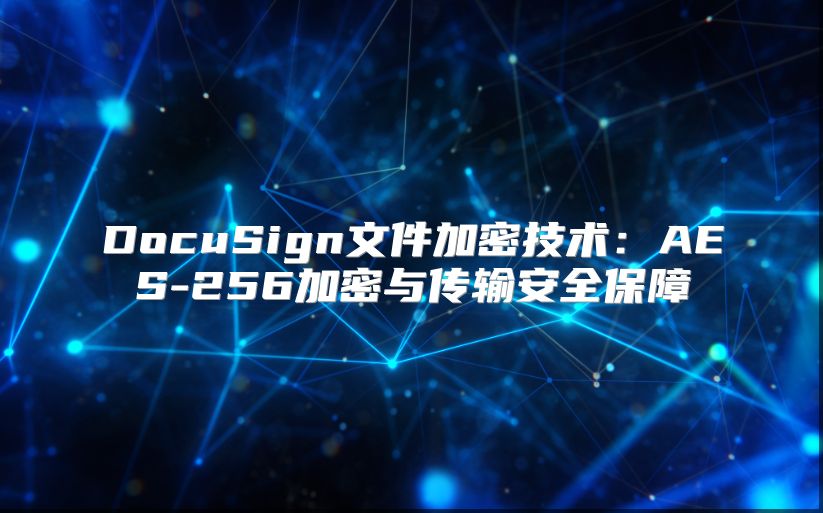 DocuSign文件加密技术：AES-256加密与传输安全保障