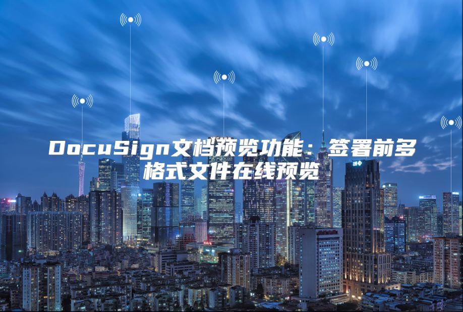 DocuSign文档预览功能：签署前多格式文件在线预览