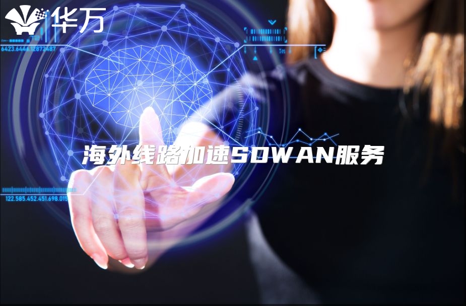 海外线路加速SDWAN服务
