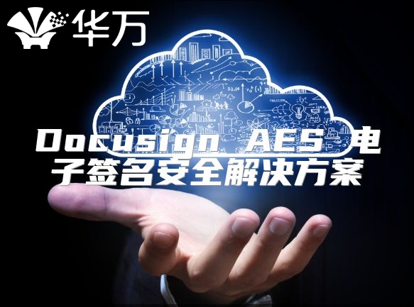 Docusign AES 电子签名安全解决方案