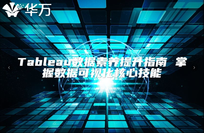 Tableau数据素养提升指南 掌握数据可视化核心技能