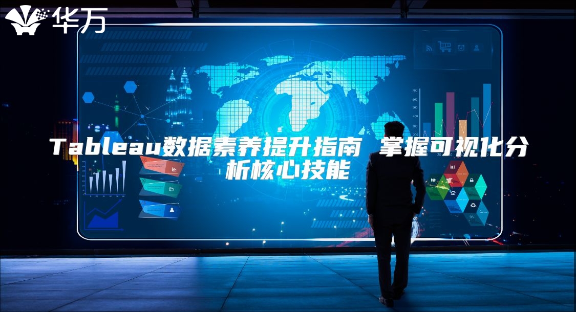 Tableau数据素养提升指南 掌握可视化分析核心技能