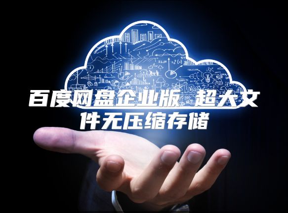 百度网盘企业版 超大文件无压缩存储