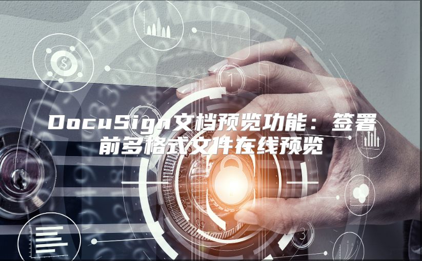 DocuSign文档预览功能：签署前多格式文件在线预览