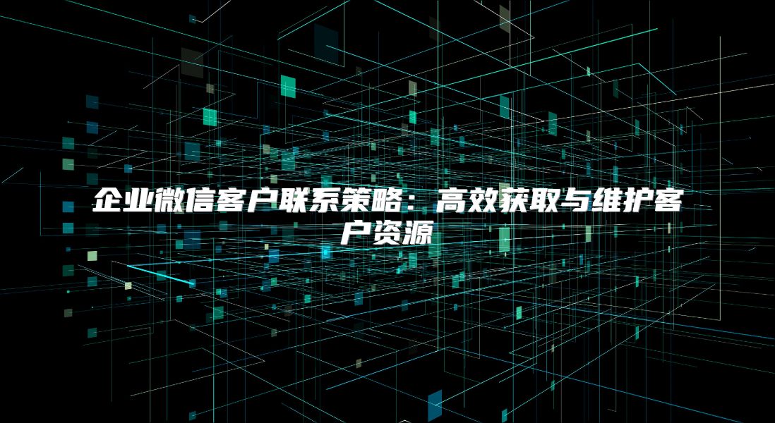 企业微信客户联系策略：高效获取与维护客户资源