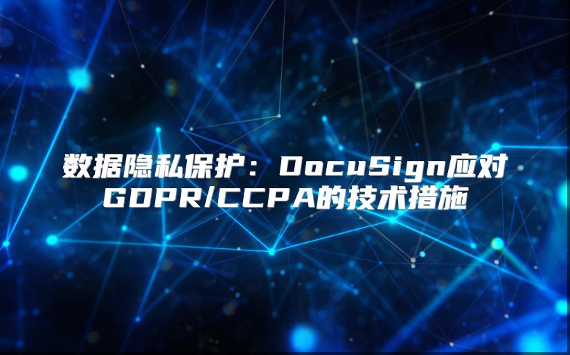 数据隐私保护：DocuSign应对GDPR/CCPA的技术措施