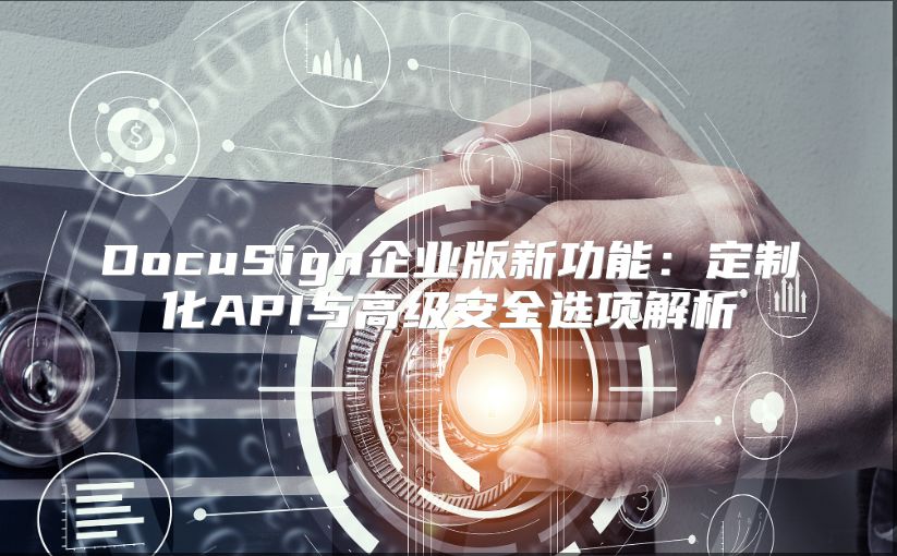 DocuSign企业版新功能：定制化API与高级安全选项解析