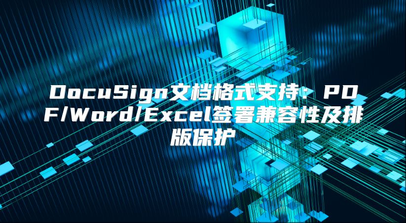 DocuSign文档格式支持：PDF/Word/Excel签署兼容性及排版保护