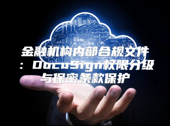 金融机构内部合规文件：DocuSign权限分级与保密条款保护