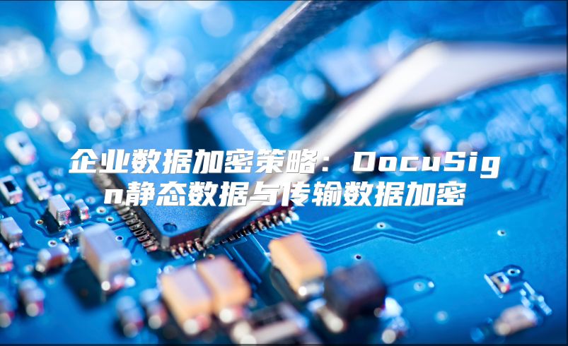 企业数据加密策略：DocuSign静态数据与传输数据加密