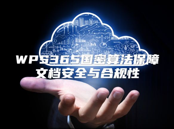 WPS365国密算法保障文档安全与合规性
