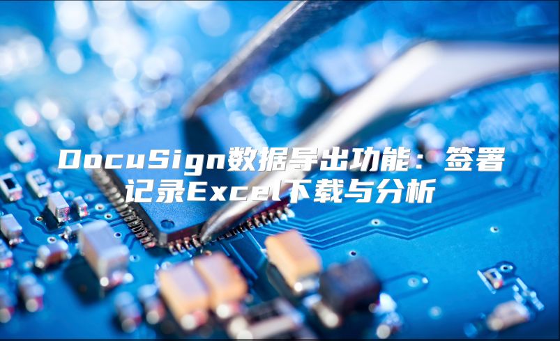 DocuSign数据导出功能：签署记录Excel下载与分析
