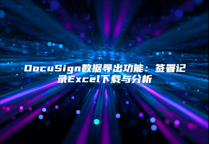 DocuSign数据导出功能：签署记录Excel下载与分析