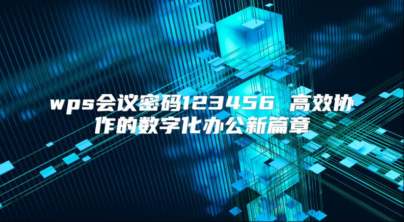 wps会议密码123456 高效协作的数字化办公新篇章