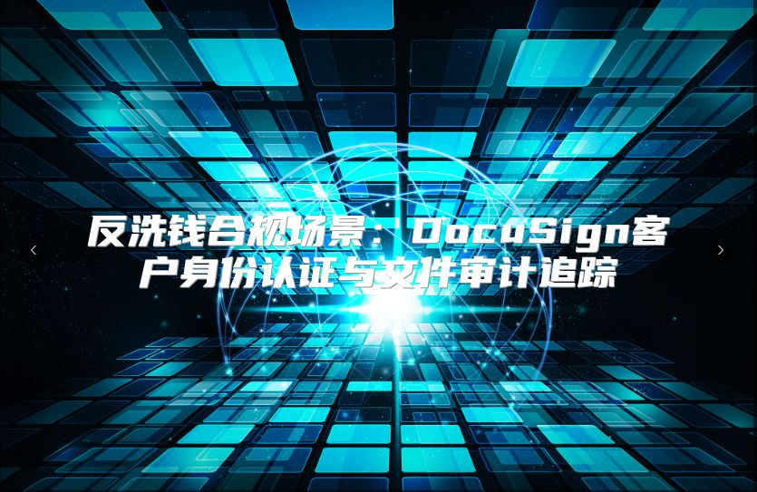 反洗钱合规场景：DocuSign客户身份认证与文件审计追踪