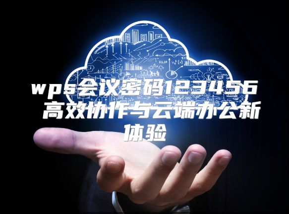 wps会议密码123456 高效协作与云端办公新体验