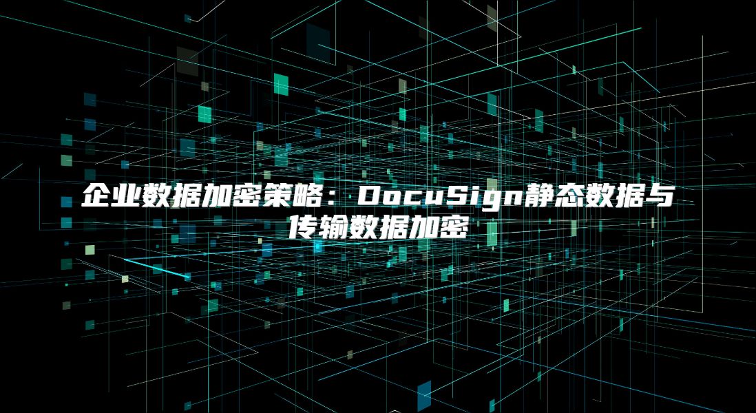 企业数据加密策略：DocuSign静态数据与传输数据加密