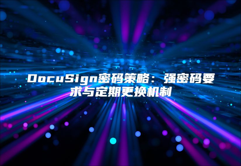 DocuSign密码策略：强密码要求与定期更换机制