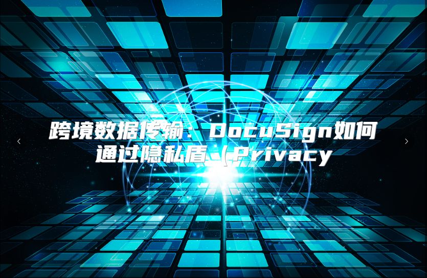 跨境数据传输：DocuSign如何通过隐私盾（Privacy