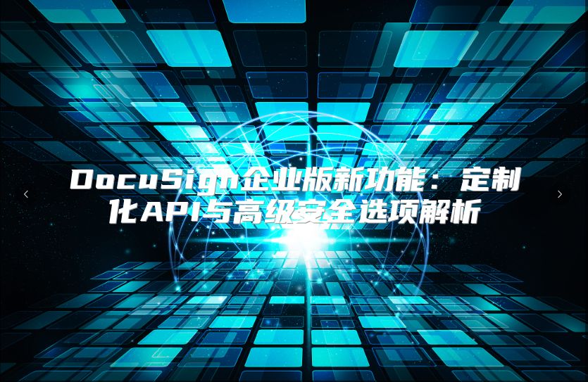 DocuSign企业版新功能：定制化API与高级安全选项解析